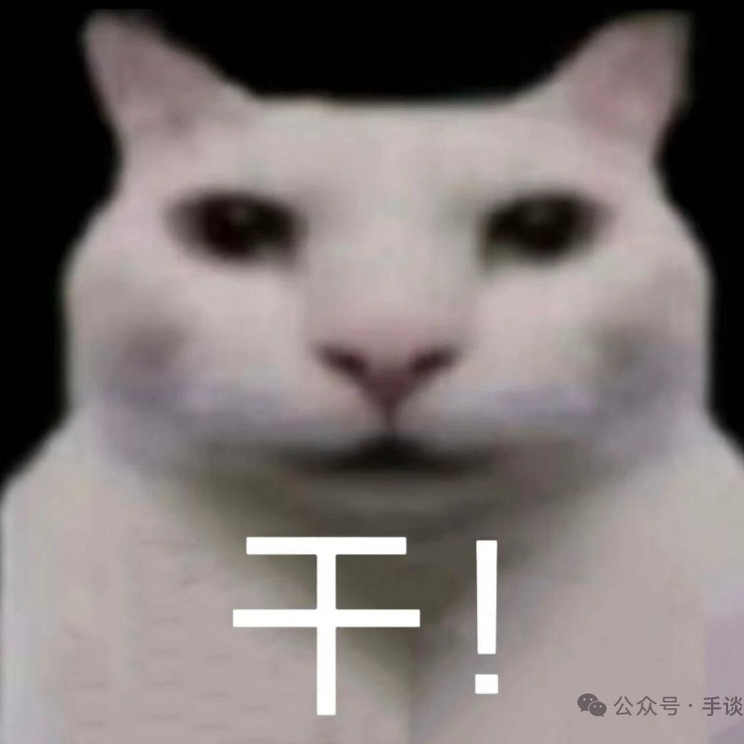 SOFA 精酿 爬宠 Bar
