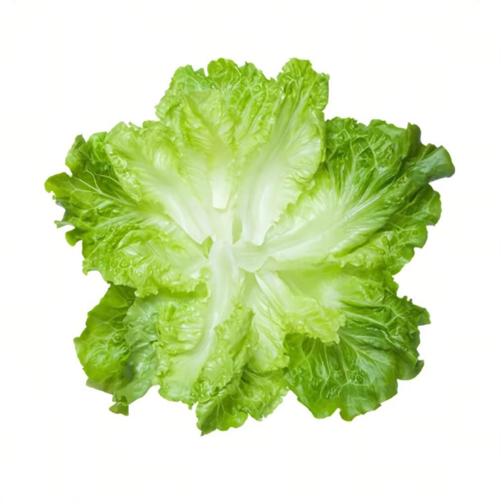 贝壳.