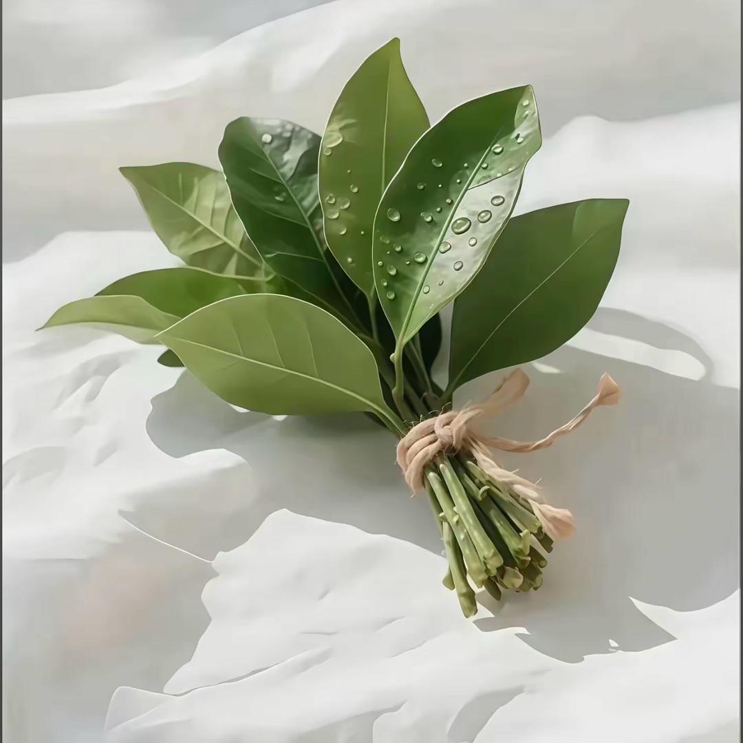 暮暮