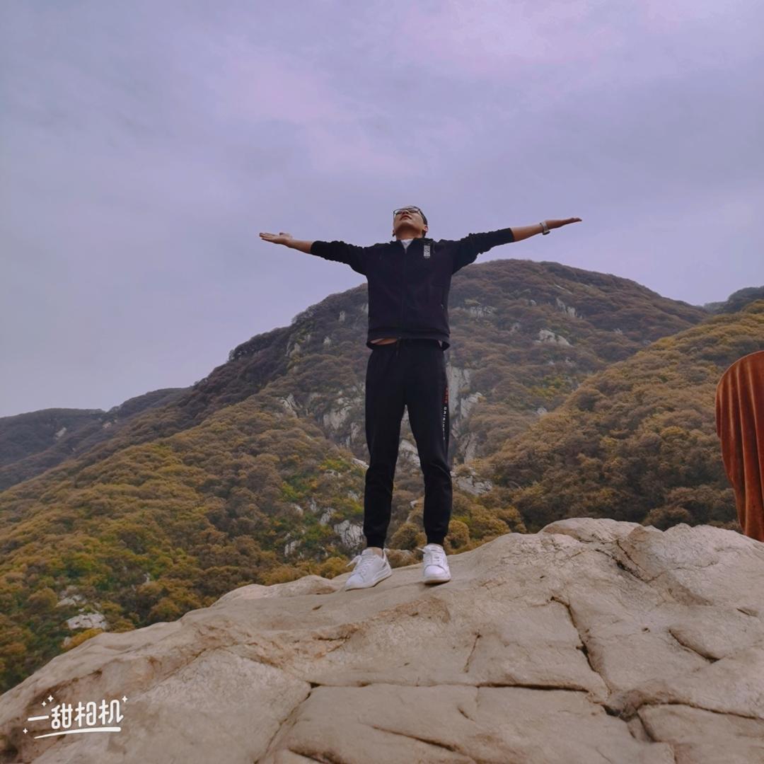 逗比四哥
