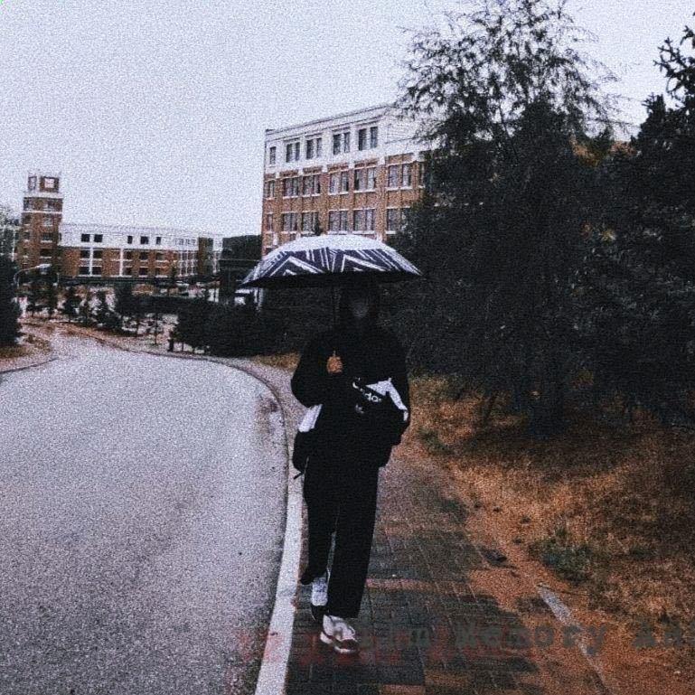 从你的全世界路过-