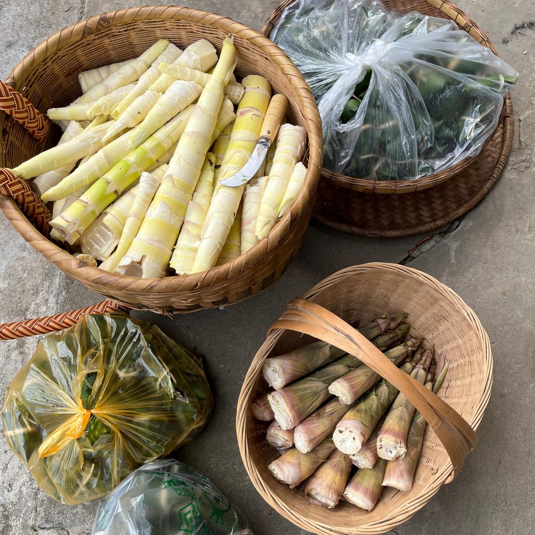 跑山小文