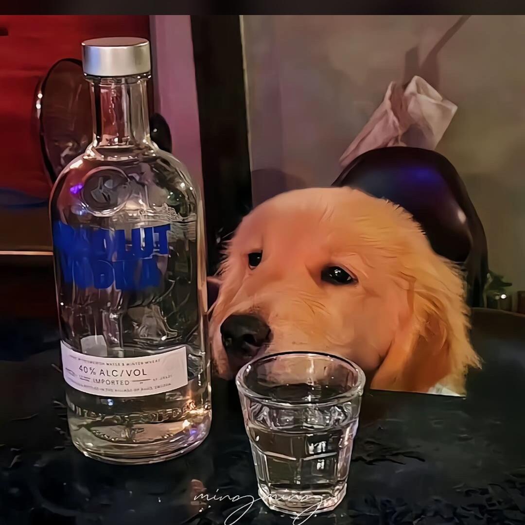 旺旺❄️🫓