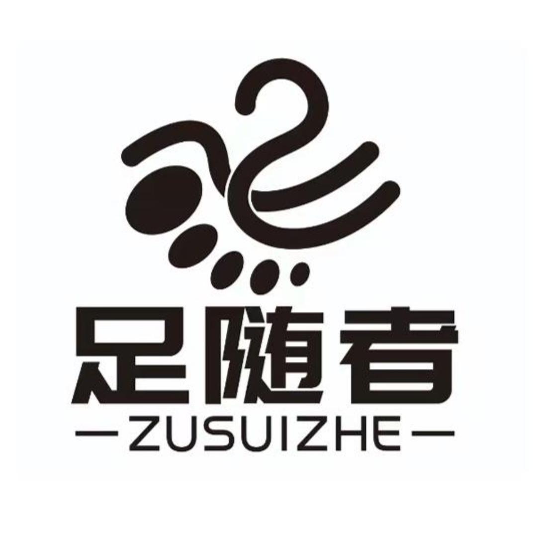 足随者功能鞋垫