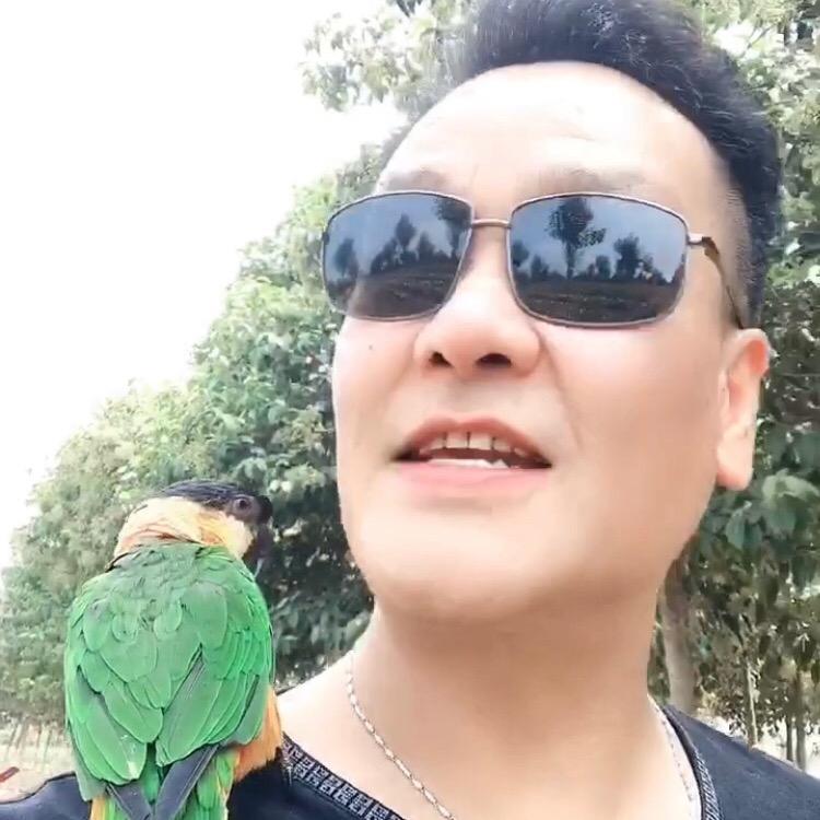 强哥红色十八子（太平有象）