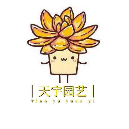 天宇多肉园艺