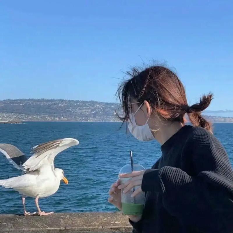 奶油甜布丁