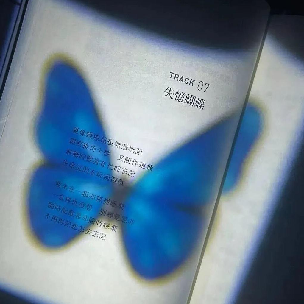 .🦋.