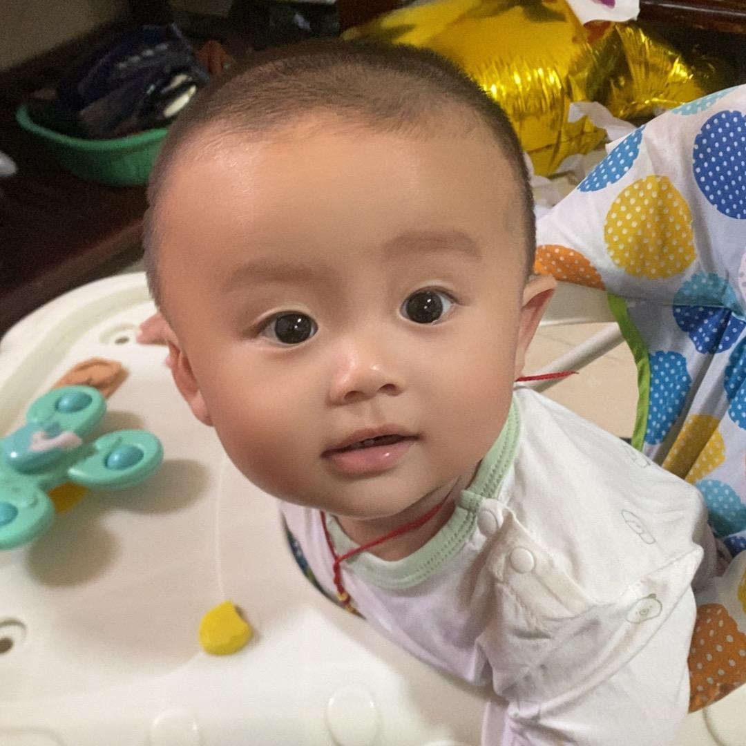 我的小锴锴