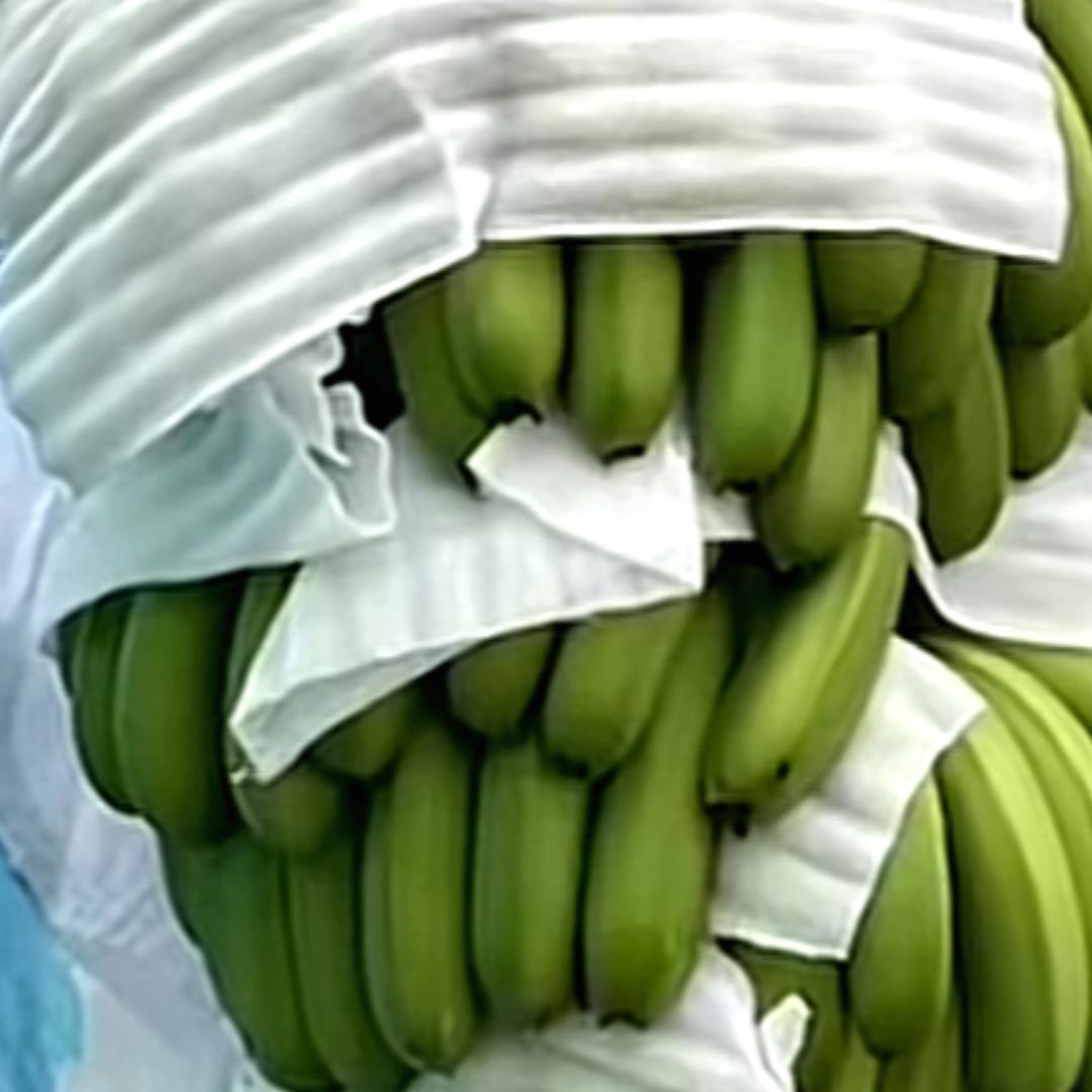 杨瑞诚信香蕉代办