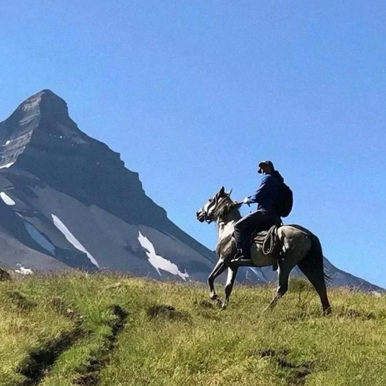 厌恶
