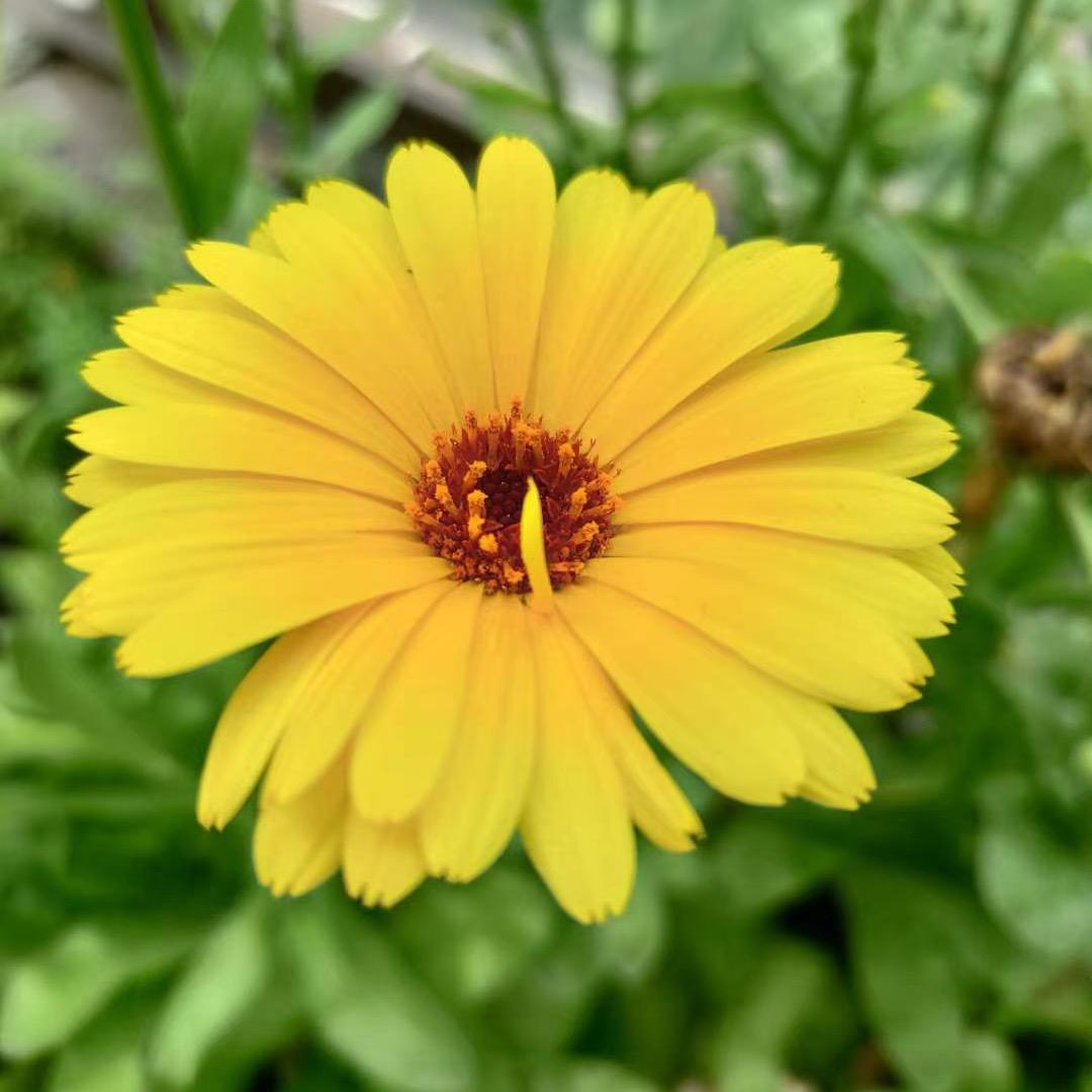 ཁ་བའི་🌴གཅེན་哥པོ😊