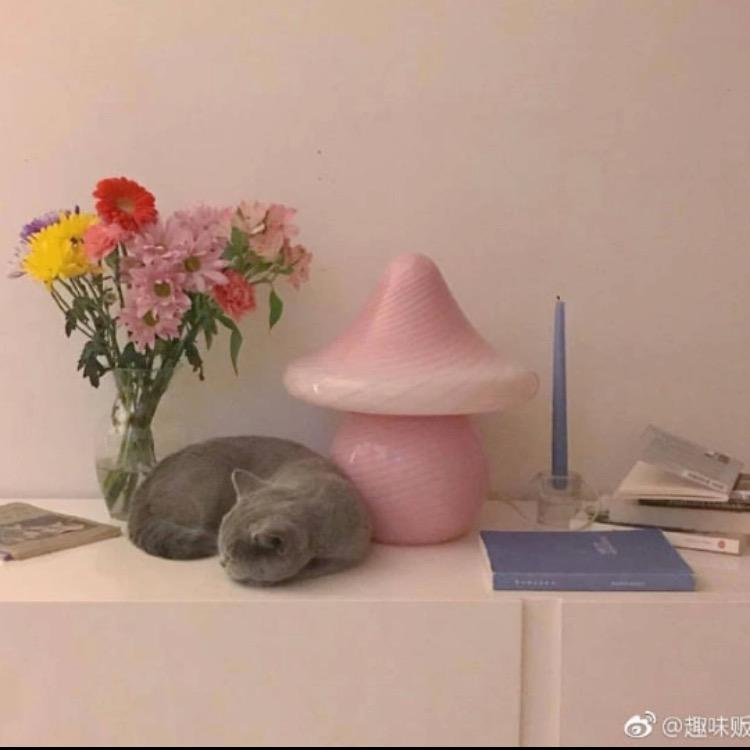 一只眠阳
