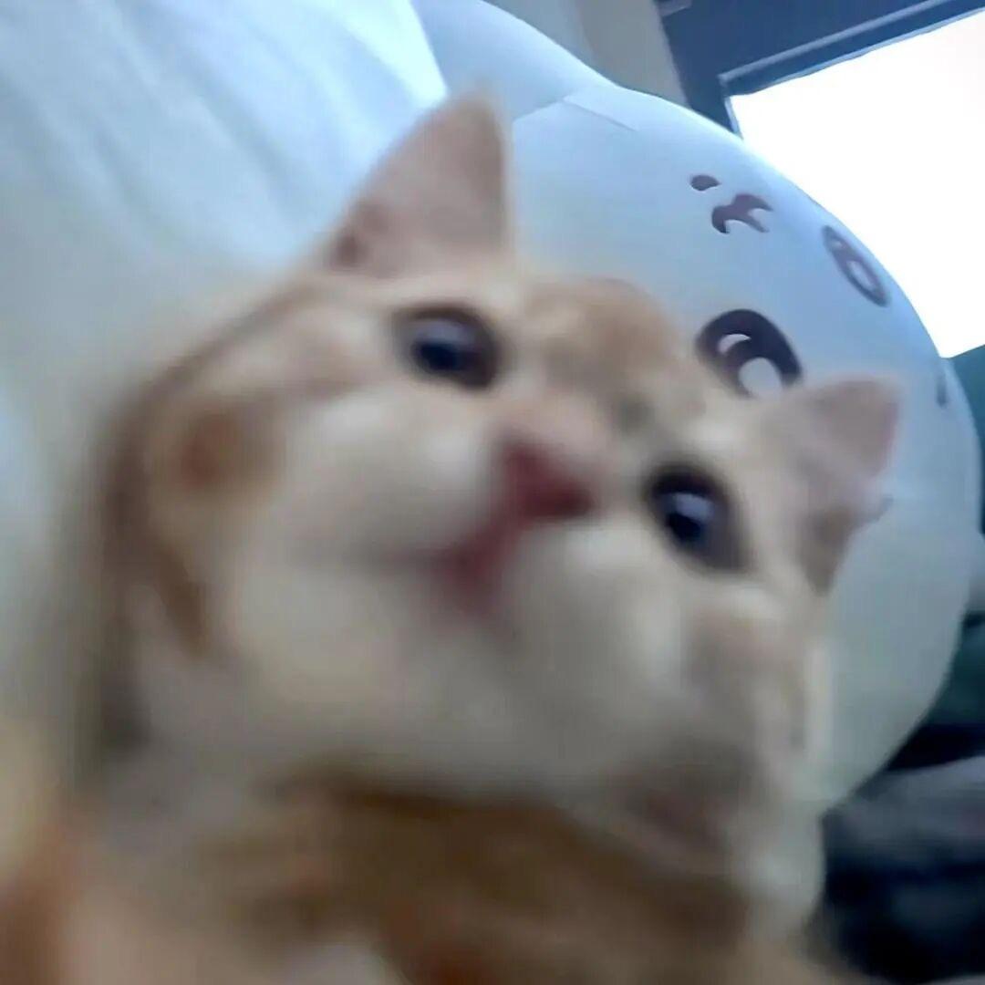 江江江江