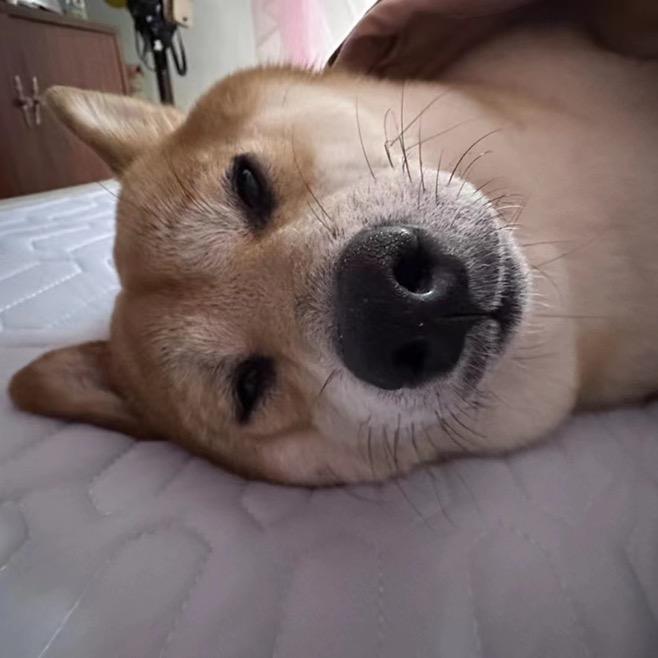 顺其自然👍🏻