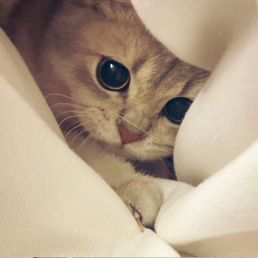 ￴￴ ￴￴ ￴￴￴ ￴￴ ￴