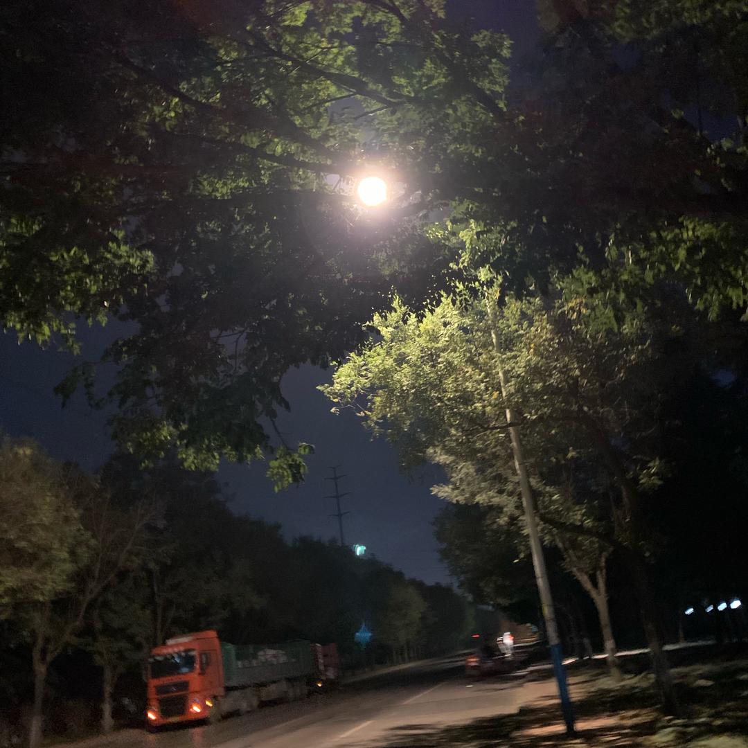 有缘自相逢^