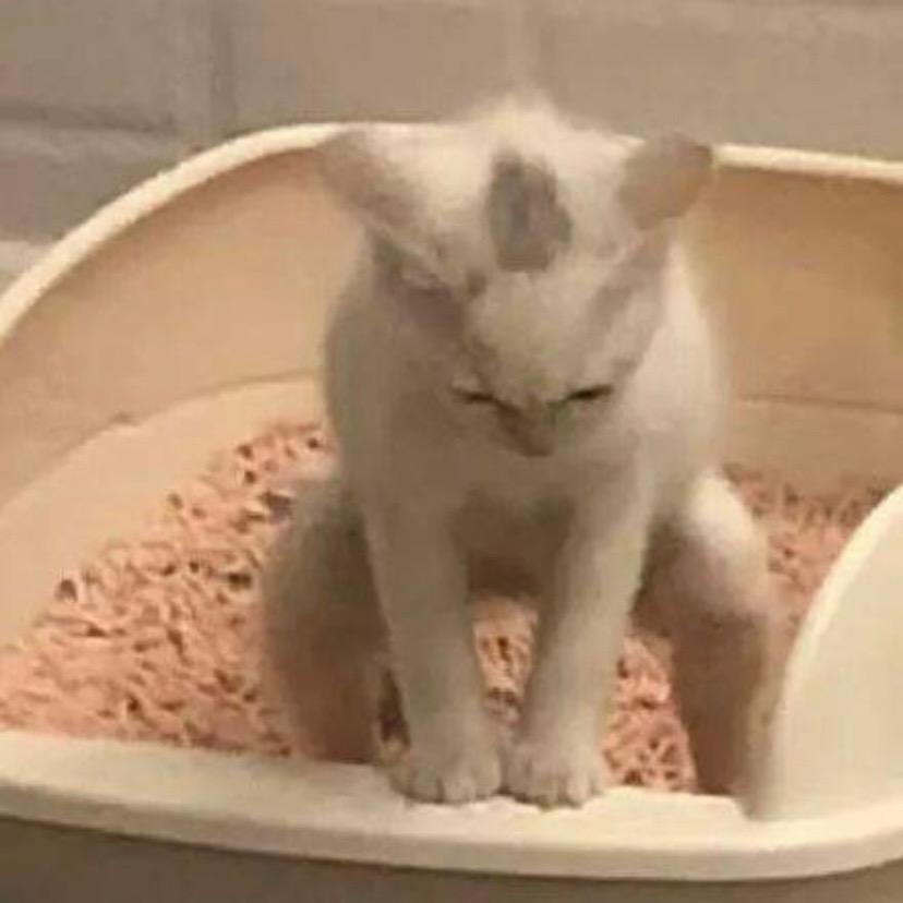 风味拿铁