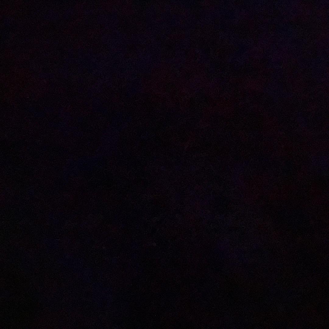 毛毛记录生活