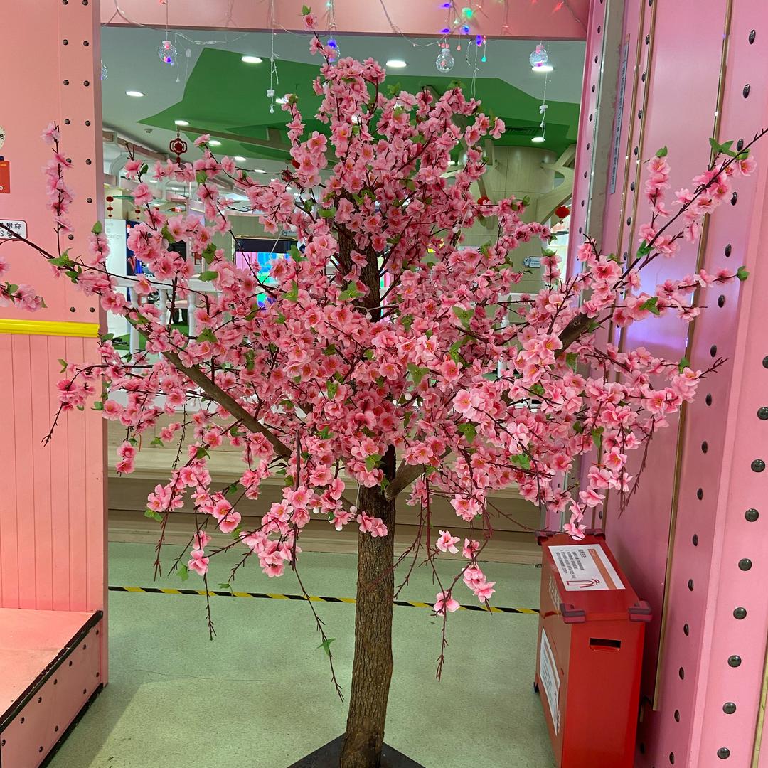 🌺🌺🌺