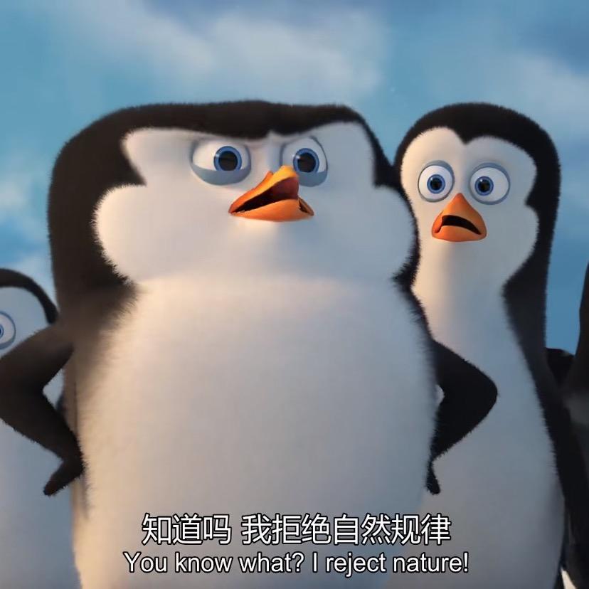 终于有抖音了