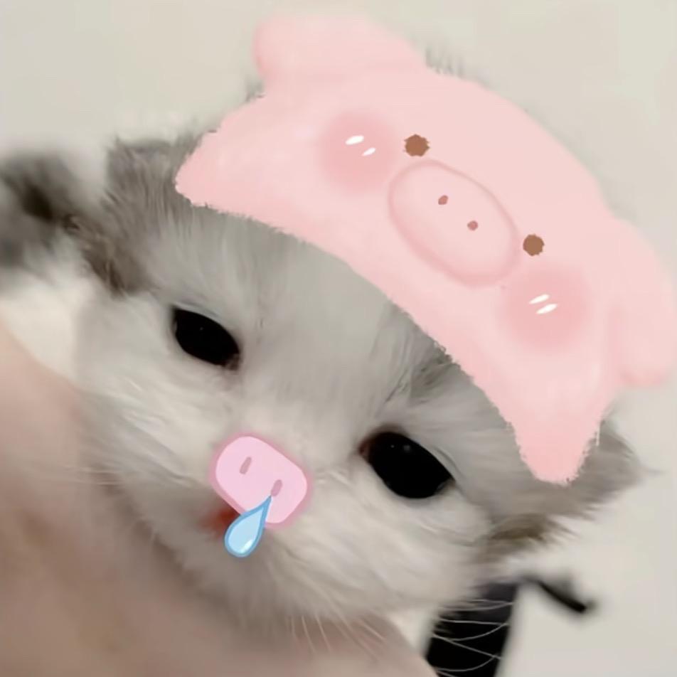 2u