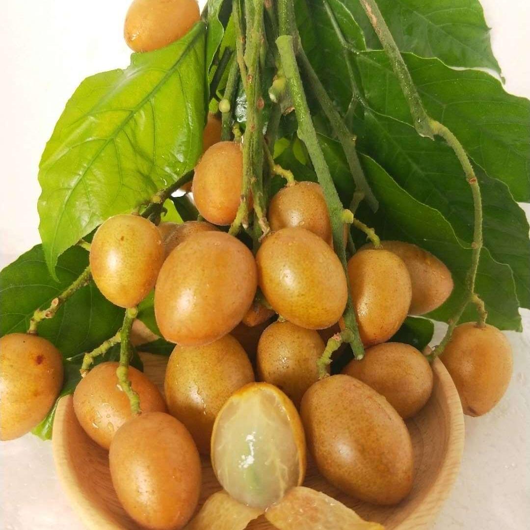 万品原木优选