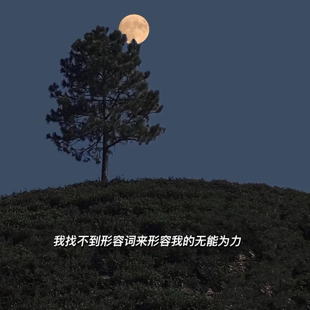 恒达五金恒达五金直播号
