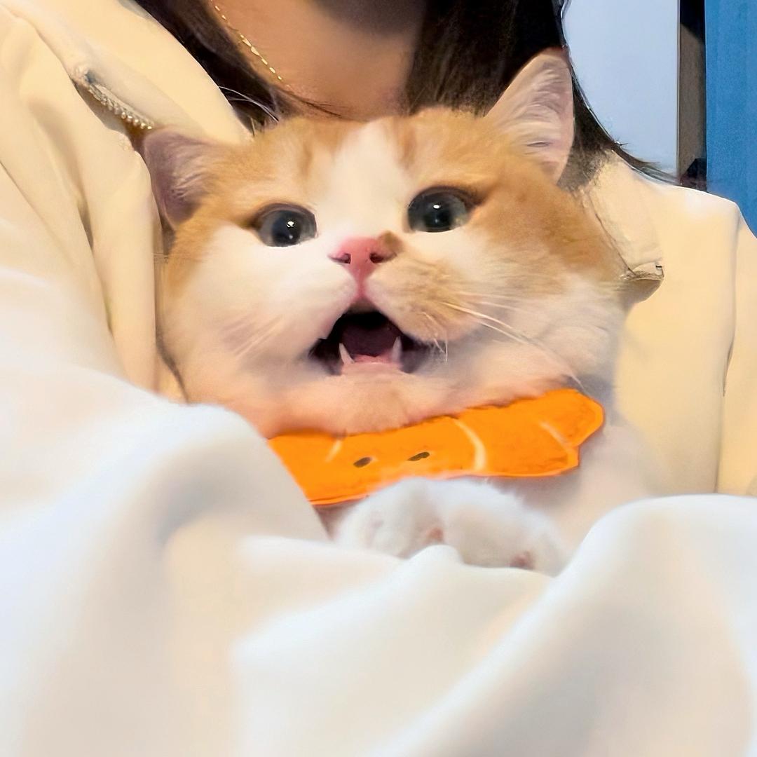 芬达达