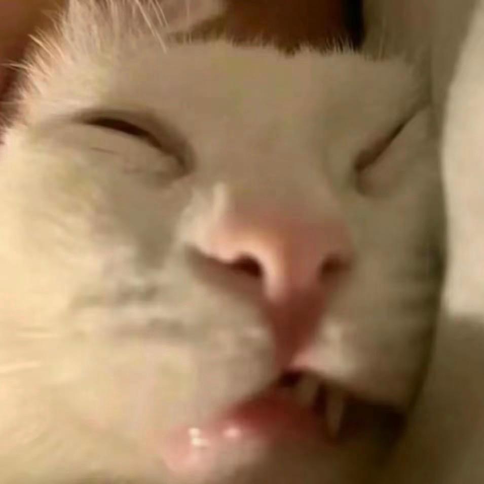 橘子