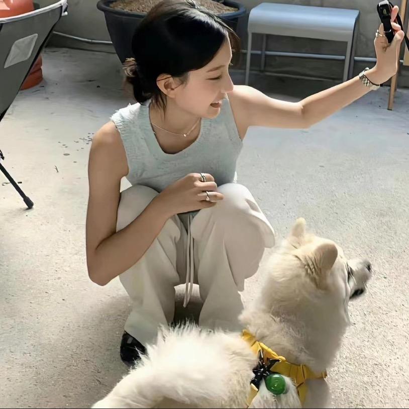 一只绵羊.
