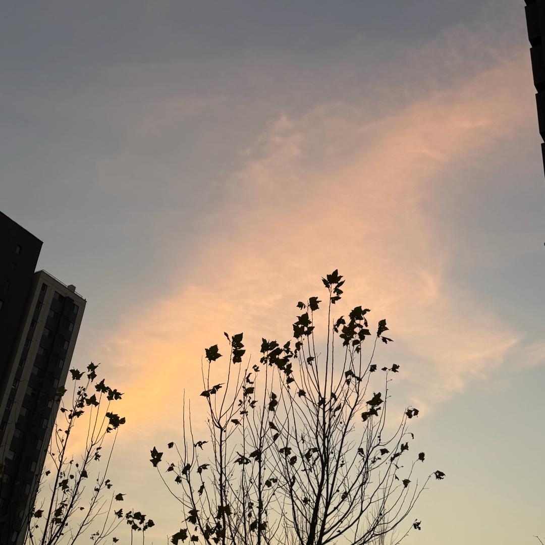 Free 🌈🌬️🌞