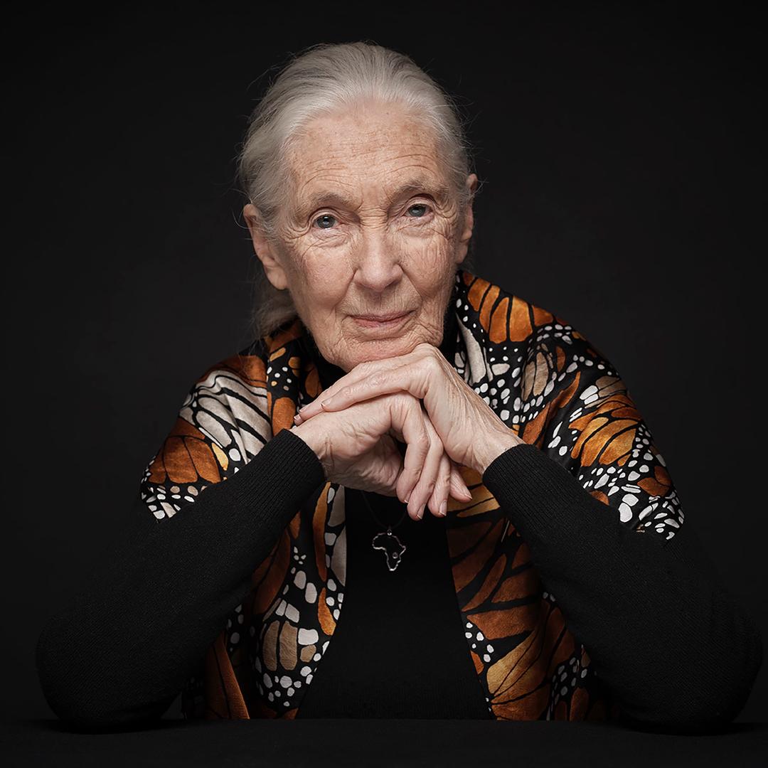 珍·古道尔JaneGoodall