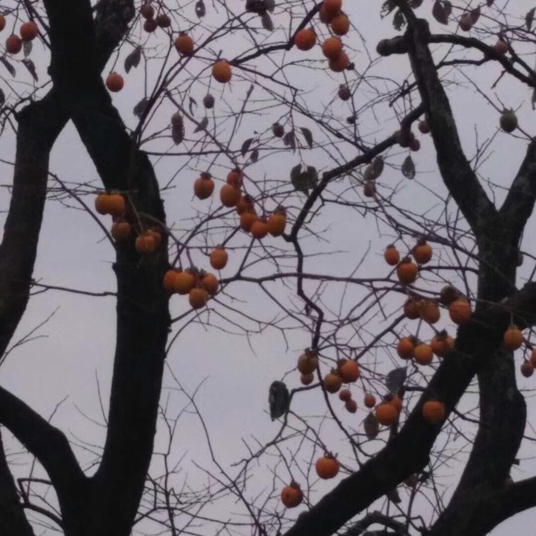 平淡