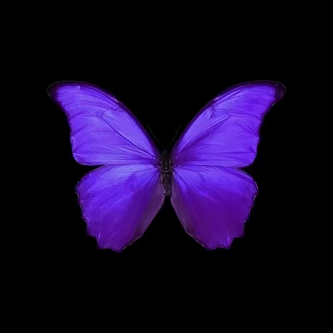 Yu7'蓝莓汁