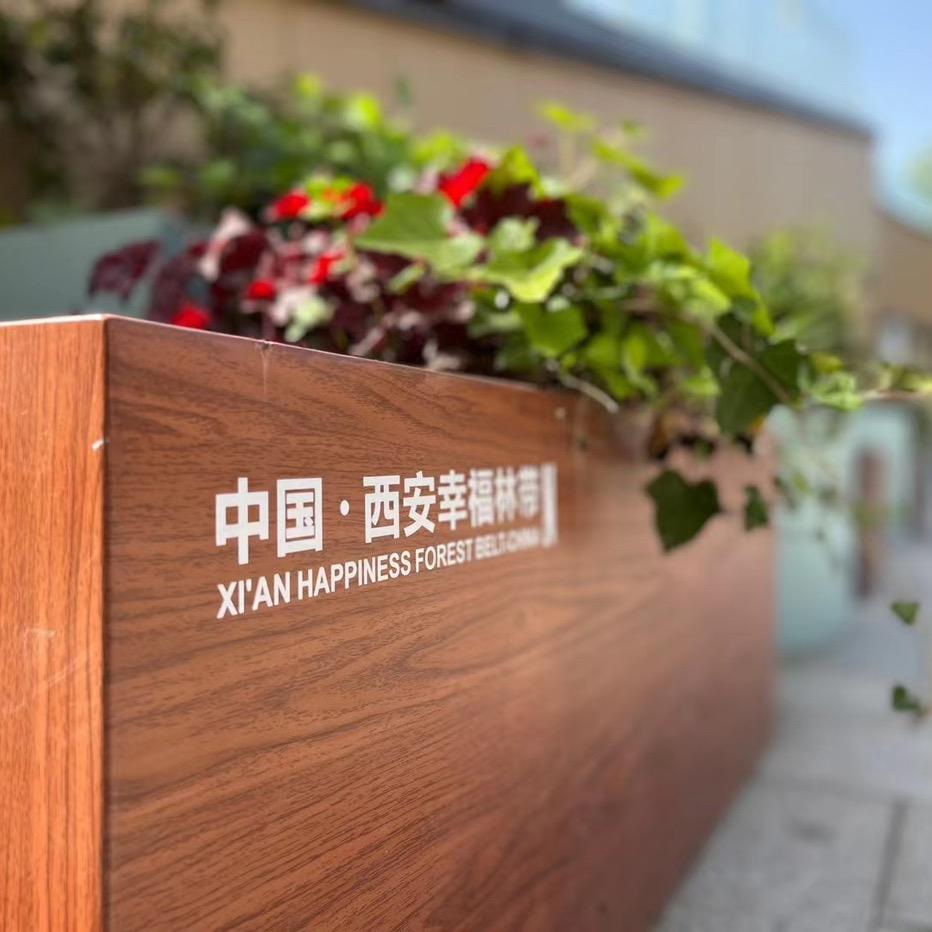 溪云共棹歌