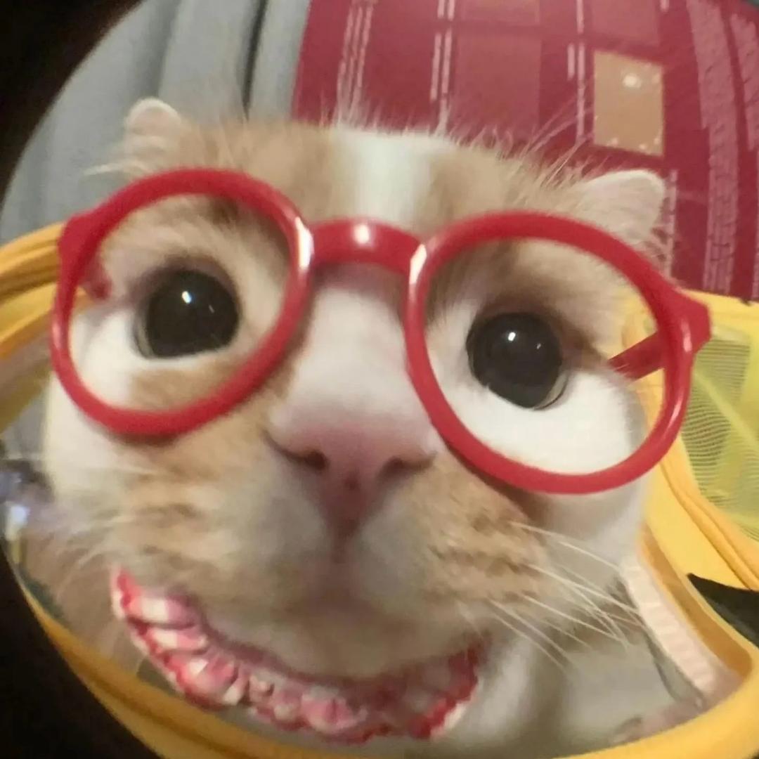 第七日.