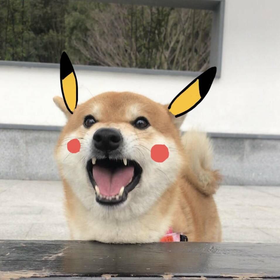 陈沛中又在哪儿