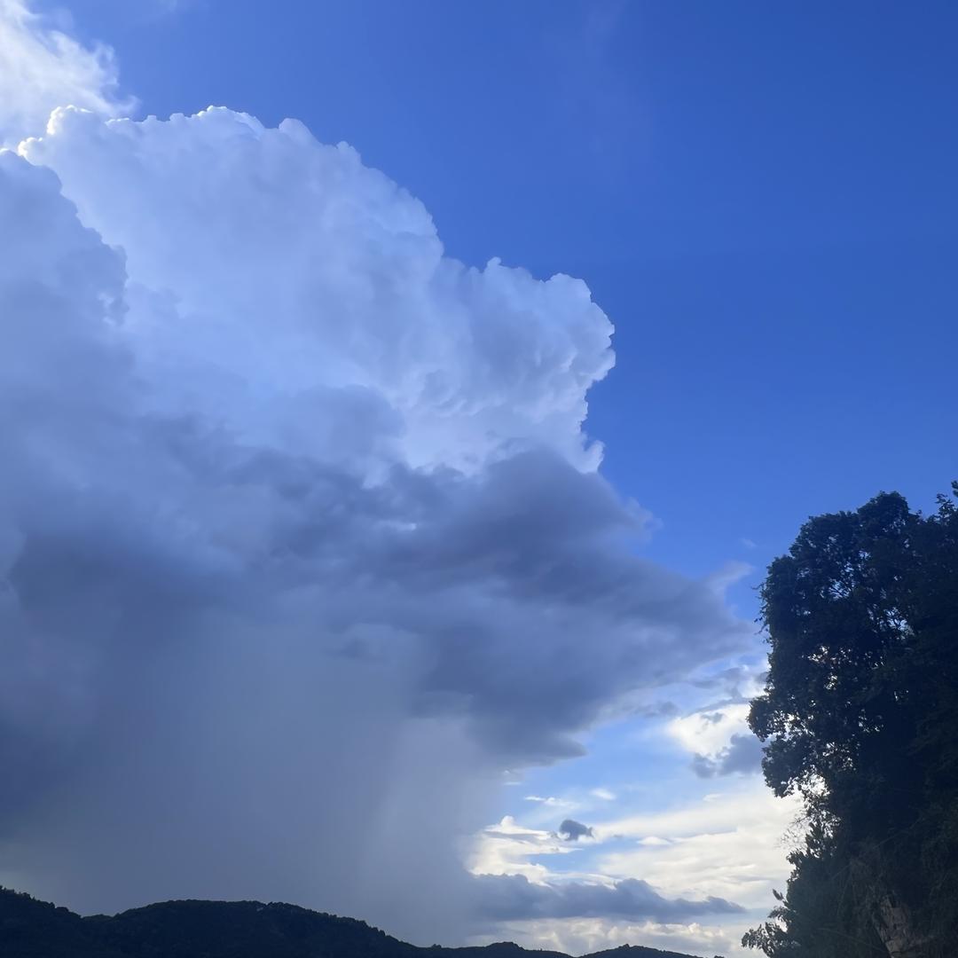壶气东来