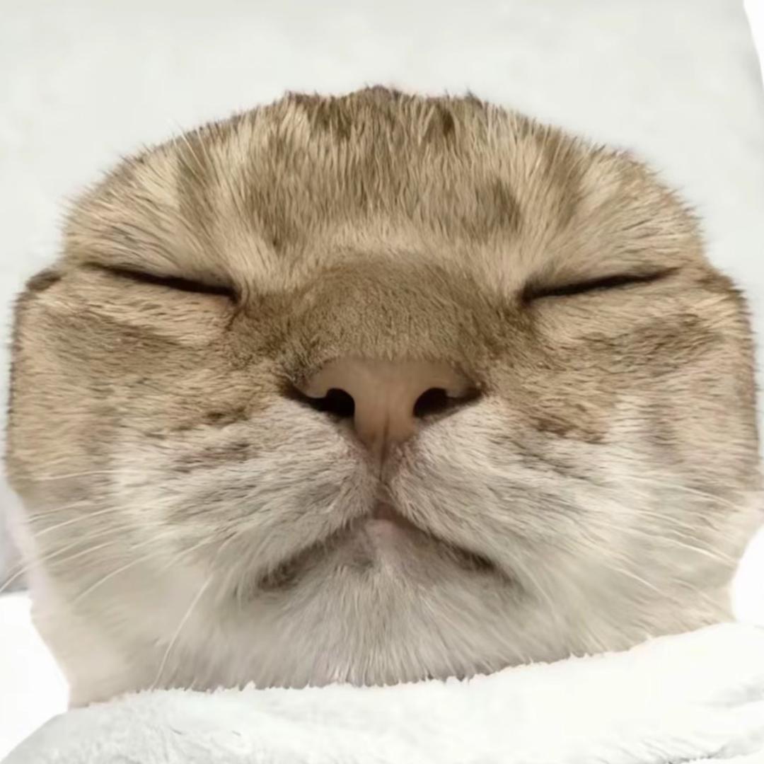 鱿鱼（三角洲行动）