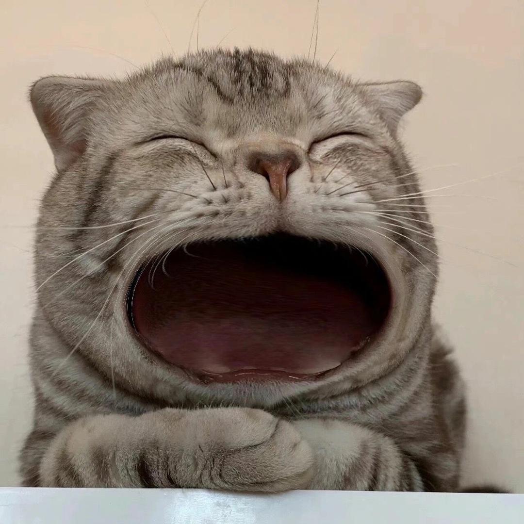終是伏笔