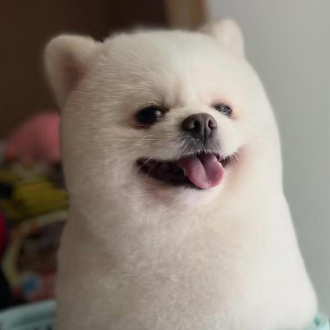 局宝儿头像
