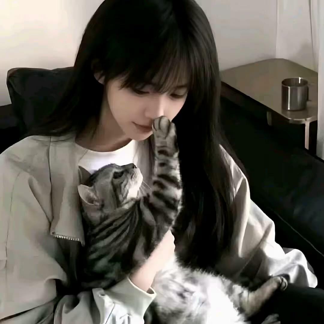 Z、