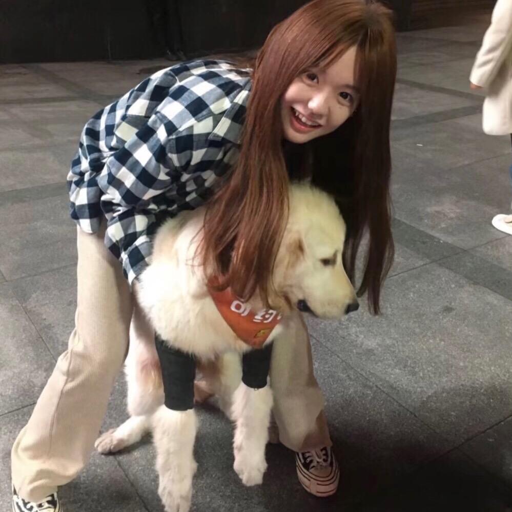 心碎的烤土豆🥔