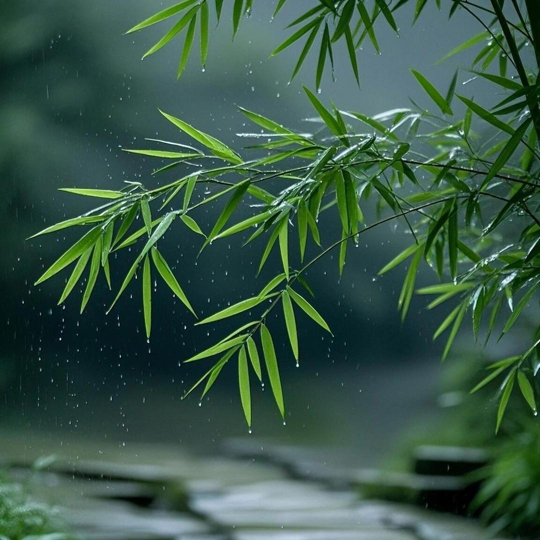 雨声助眠(安静版)