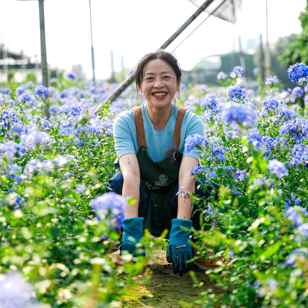 箐禾花园农场