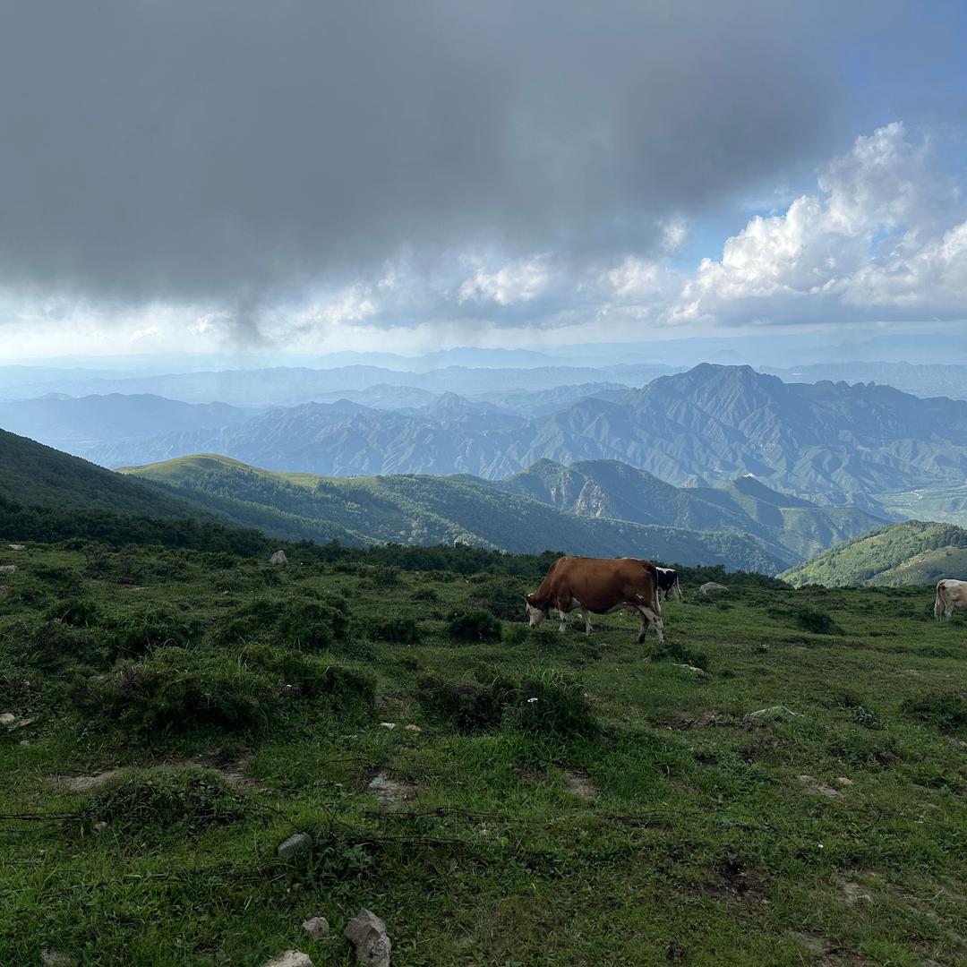 走走停停