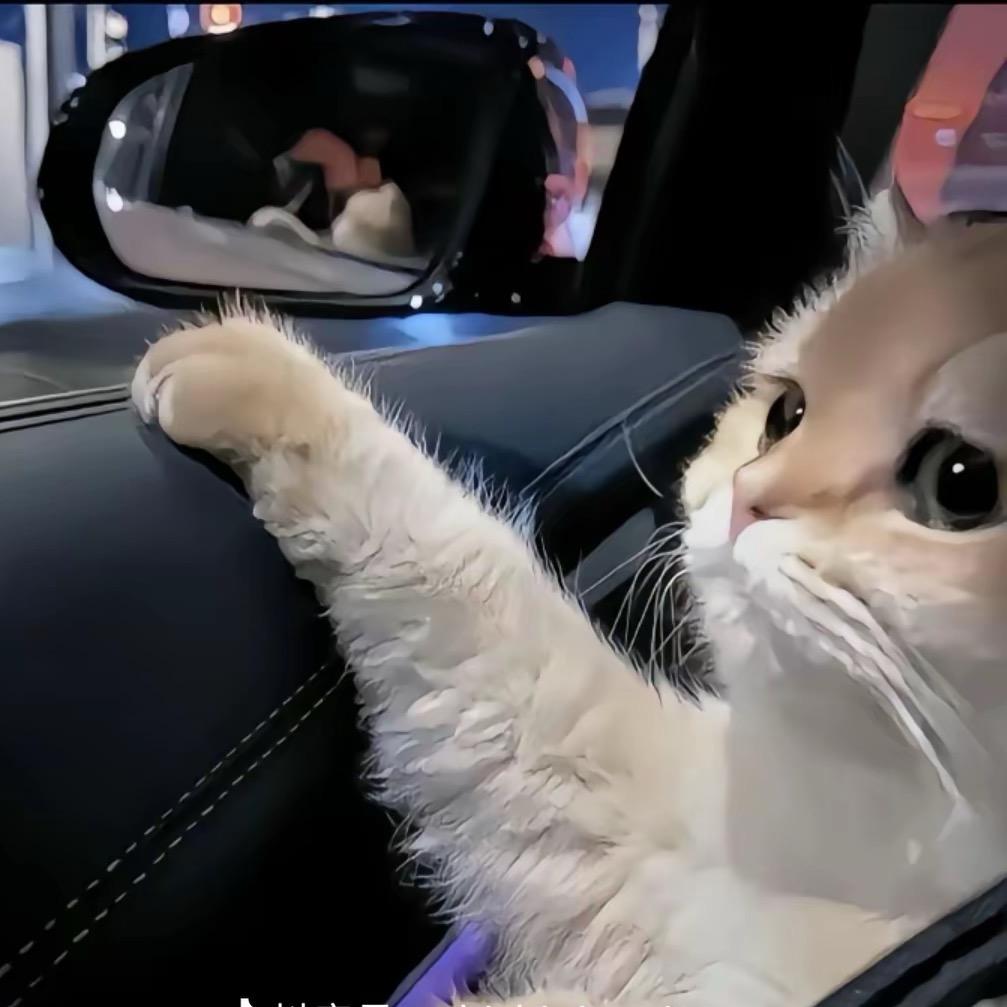 小张