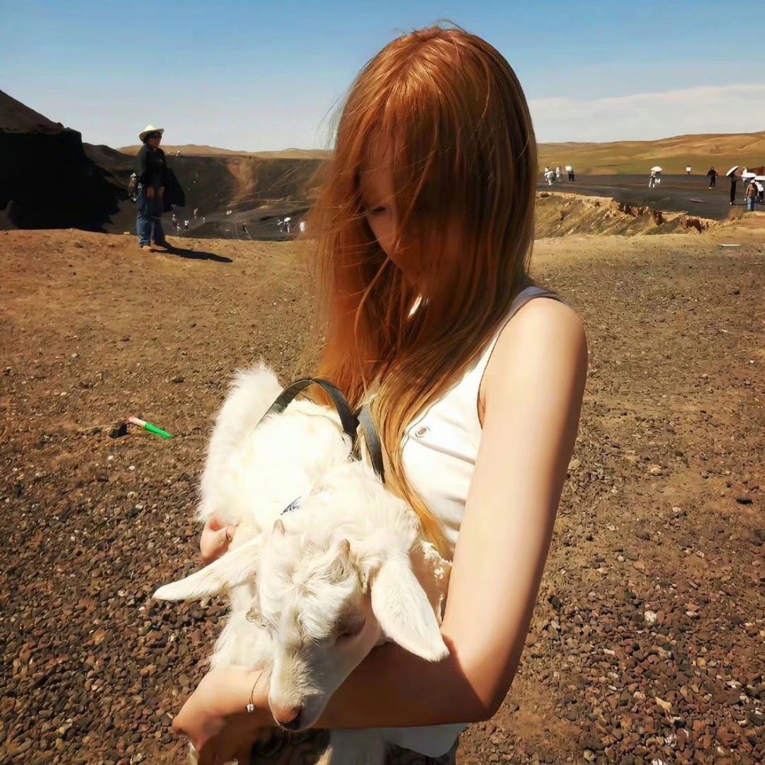 𝓜𝓲𝓰𝓒𝓱𝓸_🕸️