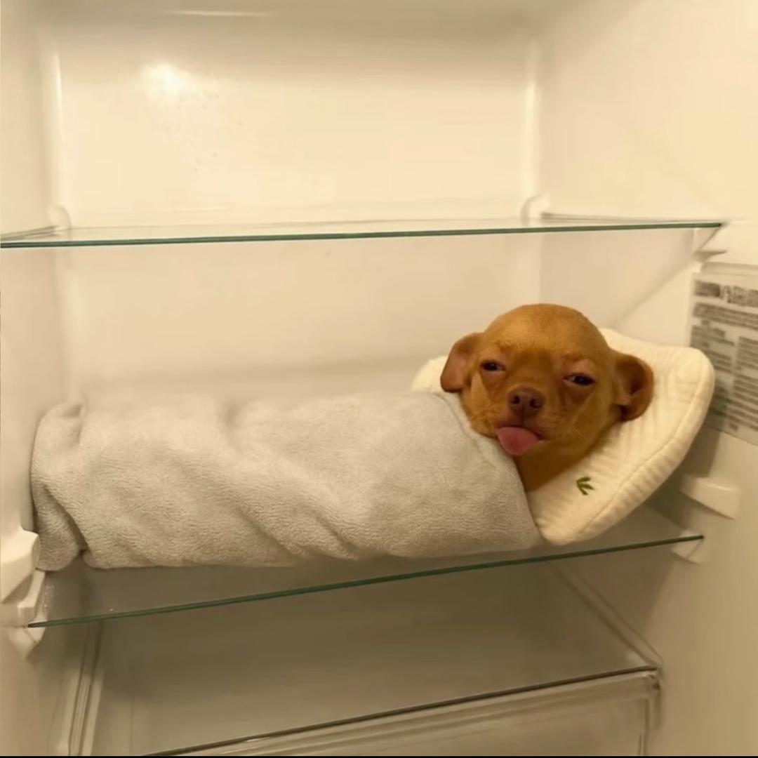 阿呆